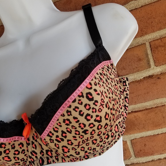 XOXO Brand Leopard Bra - Picture 7 of 8